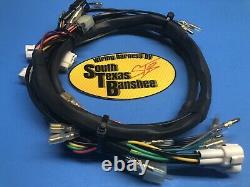 02-06 ROAD LEGAL Yamaha Banshee Wiring Harness Turn signals Horn and Hazards