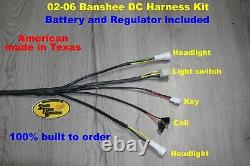 02-12 Yamaha Banshee DC wiring harness kit conversion no brake light