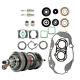 Crank Crankshaft Bottom End Rebuild Kit For 1987-2006 Yamaha Yfz350 Banshee 350