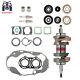 For Yamaha Banshee 1987-2006 Yfz350 Stock Crank Bottom End Rebuild Seal Ring New