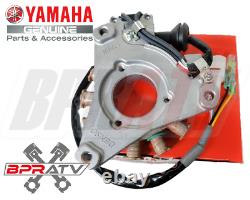 Yamaha Banshee 350 GENUINE OEM Stator & Pro Design Stator Plate 3GG-85510-01-00