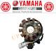 Yamaha Banshee 350 Oem Stator Assembly Original Generator 3gg-85510-01